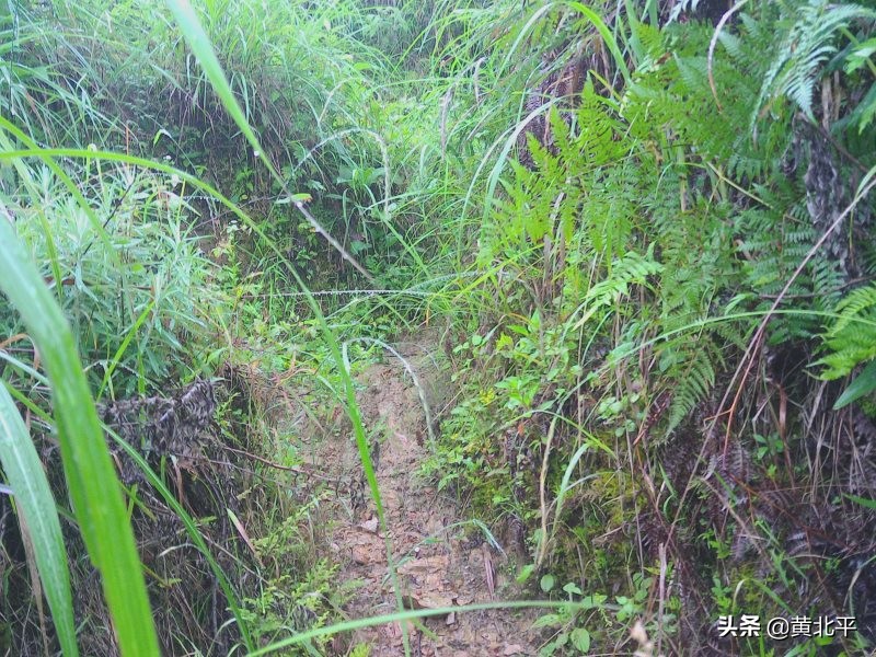正安县何家山古道,贵州遵义安场古道