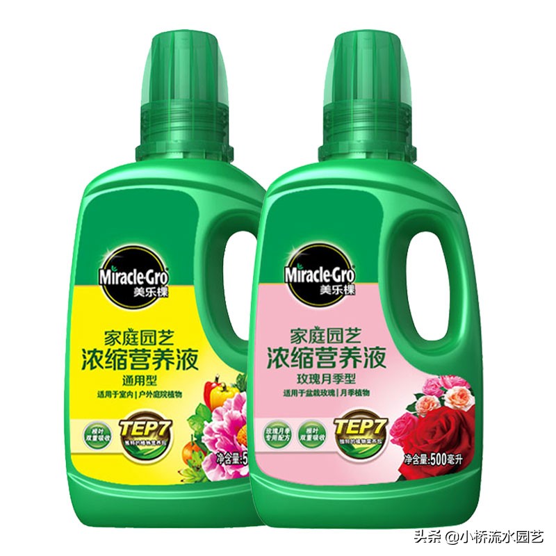 室内养花肥料选择,家庭养花不臭的肥料