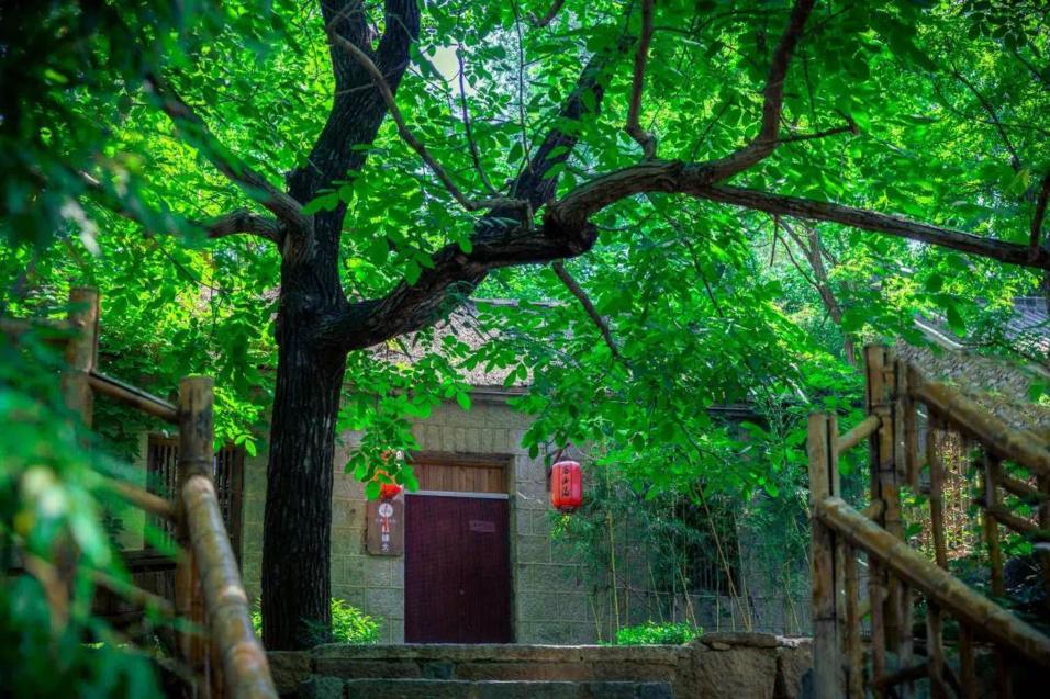 山东自驾游最佳旅游路线发布,山东自驾旅游攻略最全最好的线路