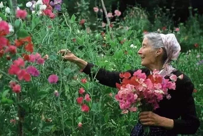 欧文·亚隆《直视骄阳》:当死亡焦虑来袭,该如何直面死亡?