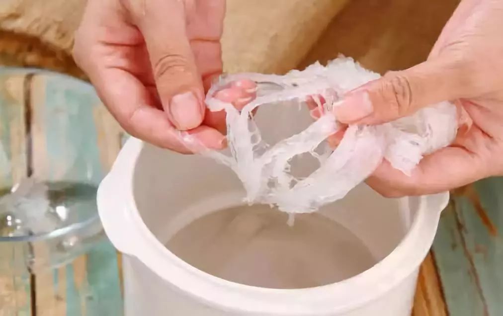 怎样炖煮燕窝才简单又好营养,炖燕窝需要用什么炖最好