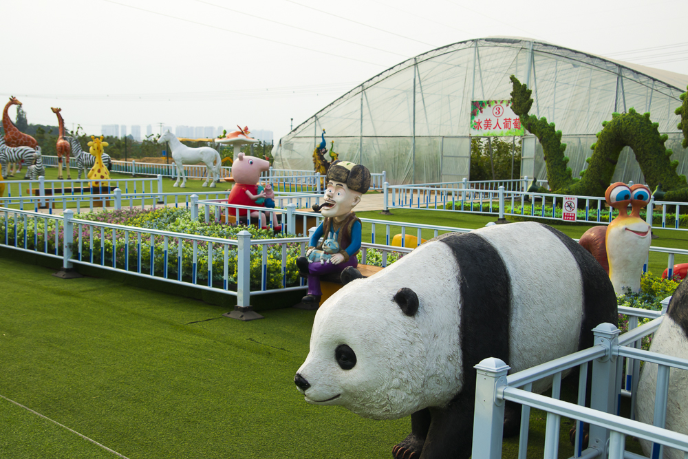 #毕业旅行啦#石家庄慧灯庄园，夏日里寓教于乐爽歪歪