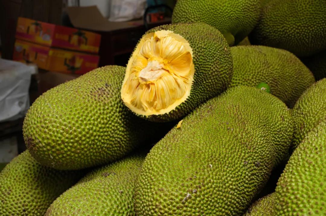 焦虑能去海口旅游吗,觉得焦虑就出来散散心