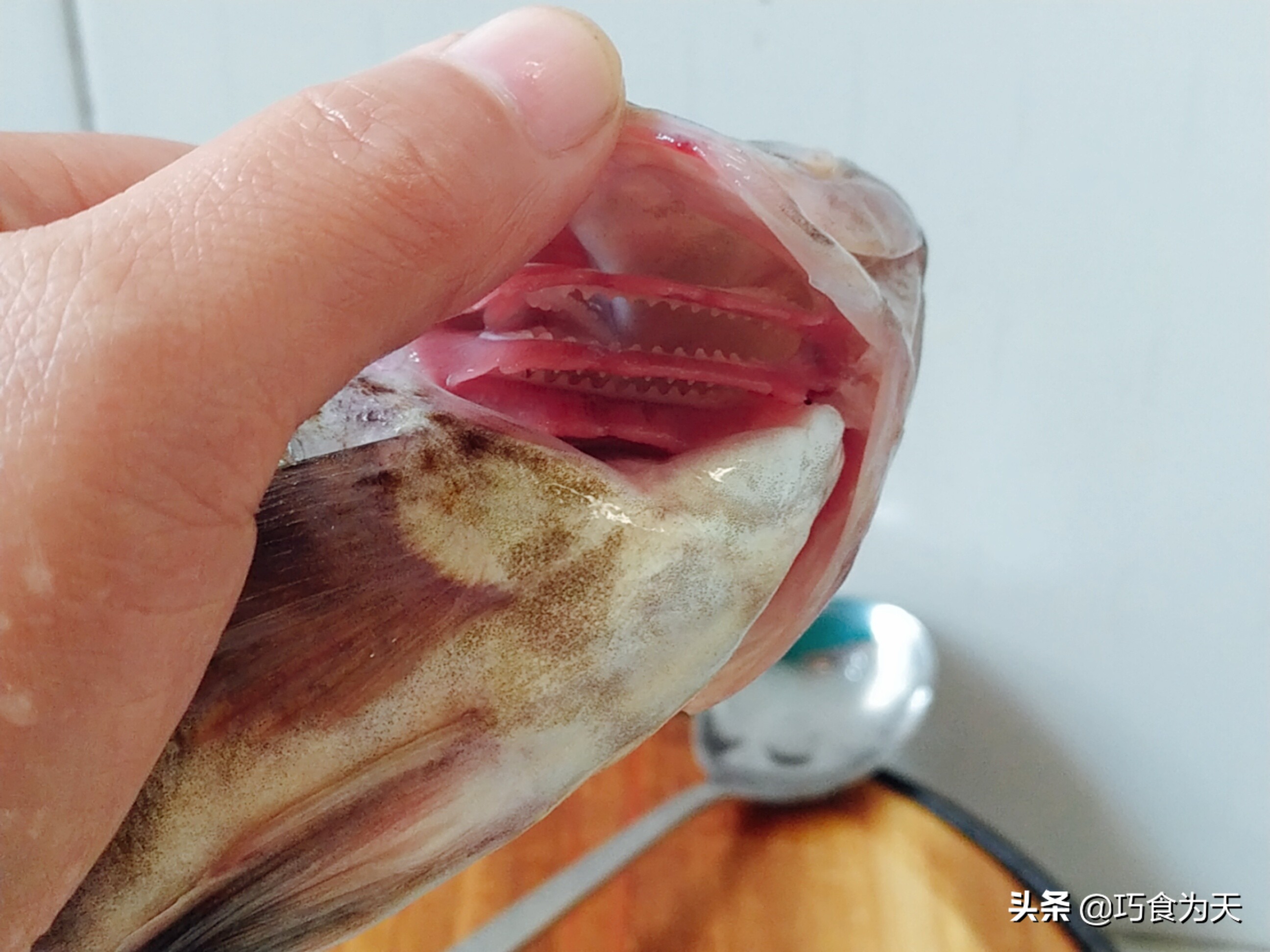 如何炖出的鱼酥软入味,怎么炖鱼不腥又好吃窍门