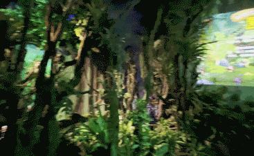 珠海有没有比较好的景点,珠海最漂亮群岛