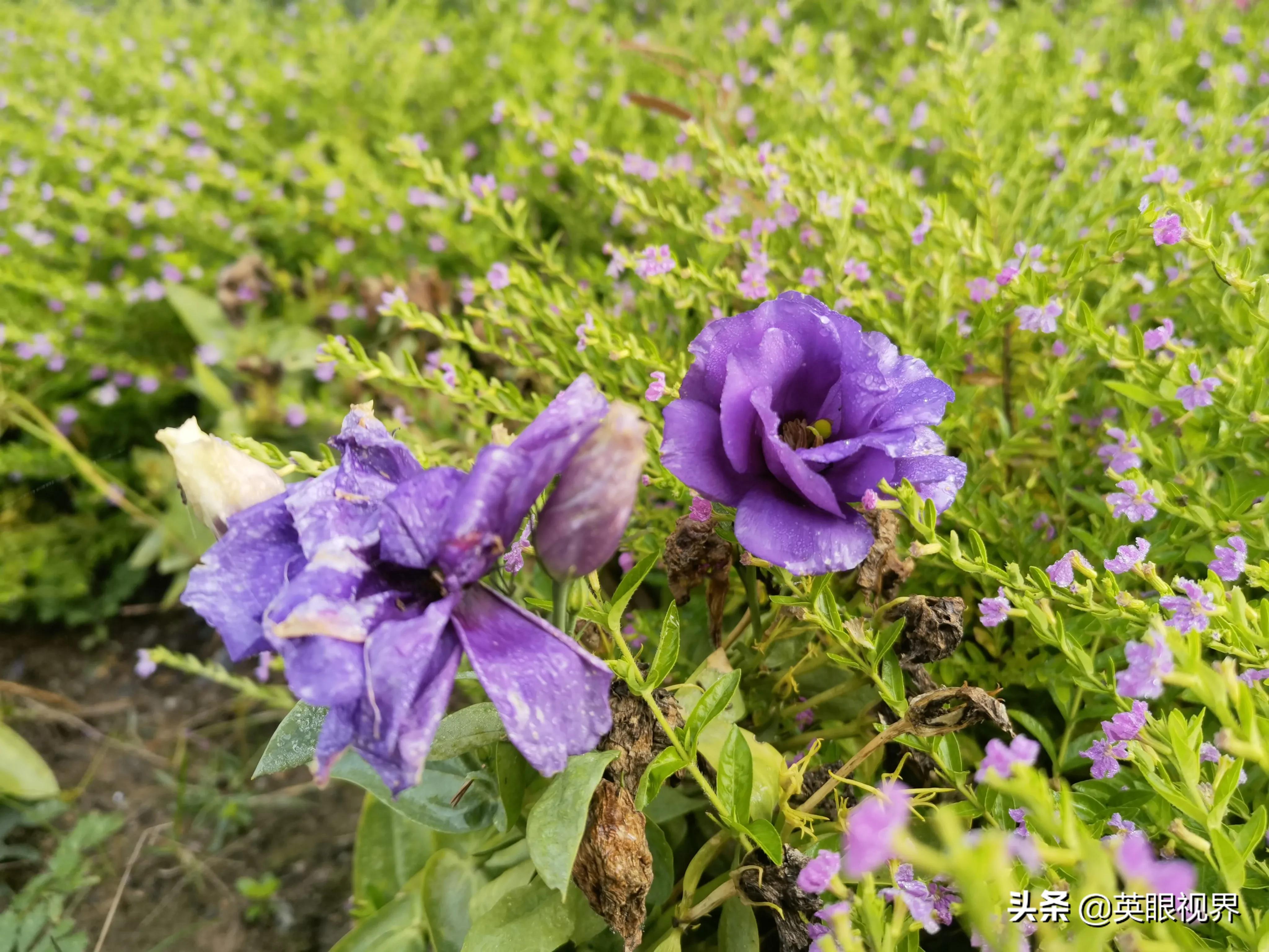 借钱朋友不还怎么起诉,借钱给朋友还不了可以报警吗