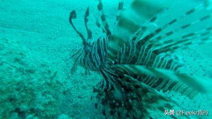 最不想分享的小众海岛,小众海岛旅行