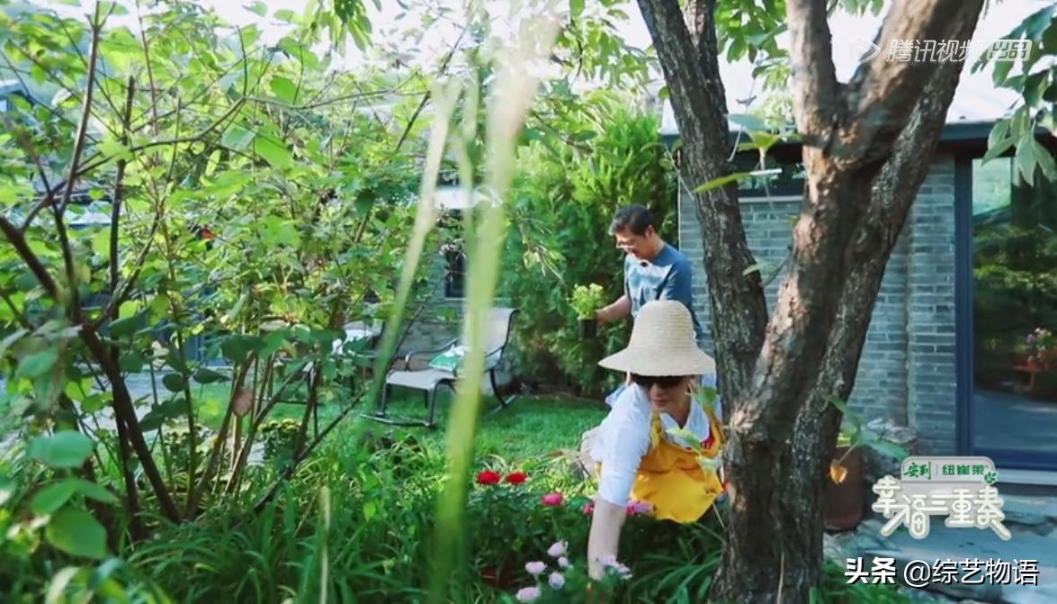 明星夫妻综艺节目有多搞笑,又甜又搞笑的一对