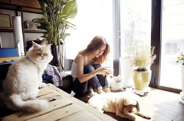 民宿视频文案怎么写吸引人,优惠民宿活动文案怎么写吸引人