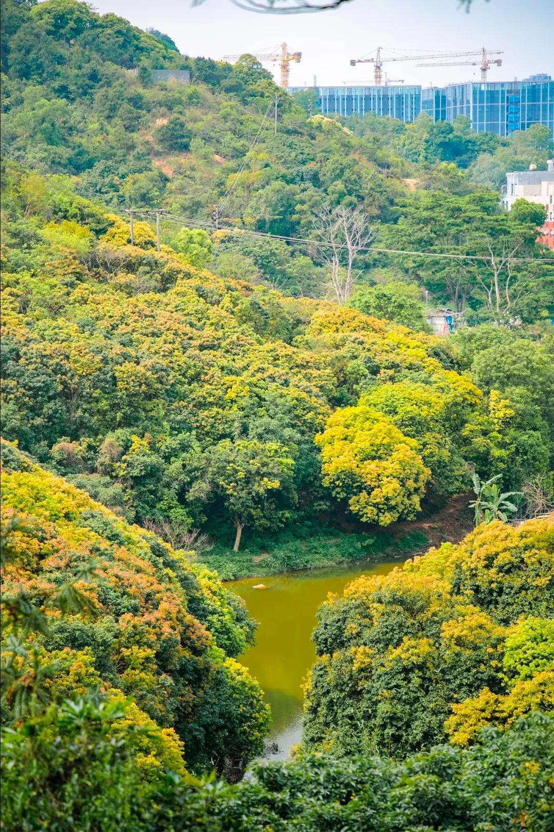 深圳值得打卡的建筑物,深圳最值得打卡的山