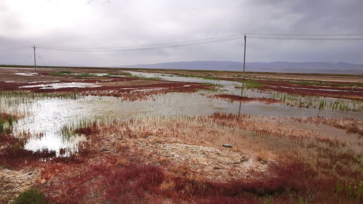龙眼凤羽的艾肯泉，该称恶魔之眼，还是天使之眼，你来决定吧