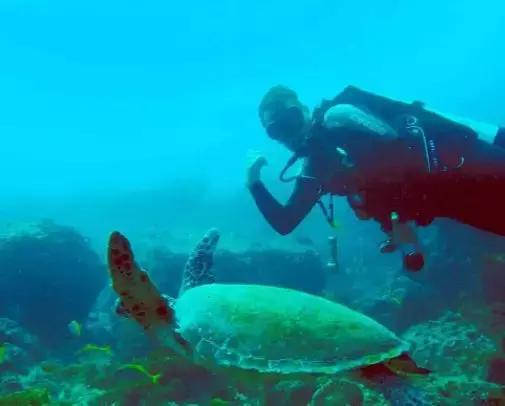 不出国门异域风光,不出国门就能看到各地风情