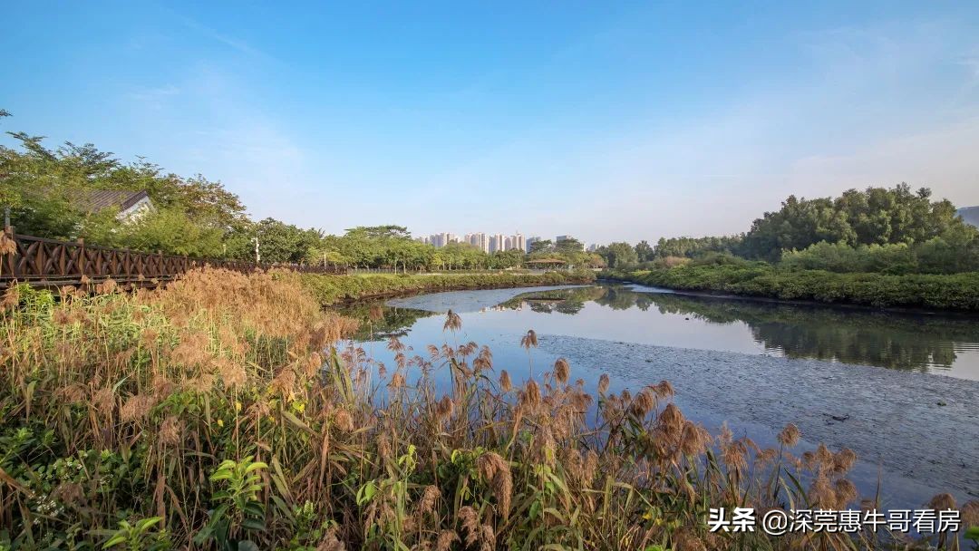 买房的黄金法则不要贪便宜,买房十大黄金策略