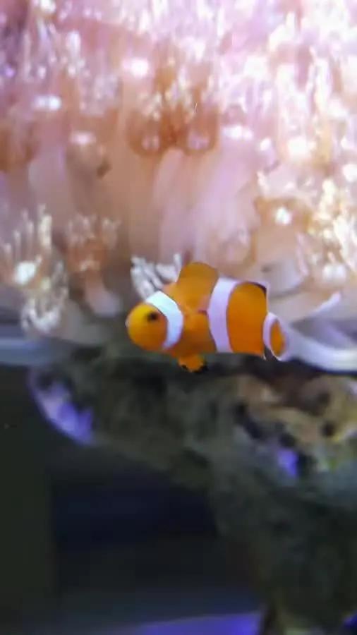 大学生1000元在宿舍开缸，还贴“禁止手碰”的标识，担忧舍友关系