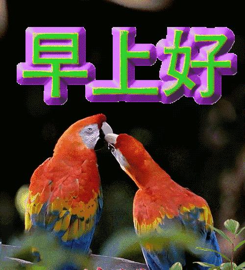 微信早晨最新的早安问候祝福短句,早晨好问候暖心短句祝福图片