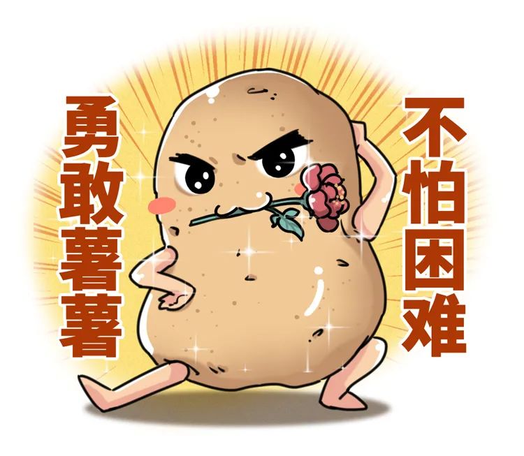 一个马铃薯能做什么,一个马铃薯可以做什么