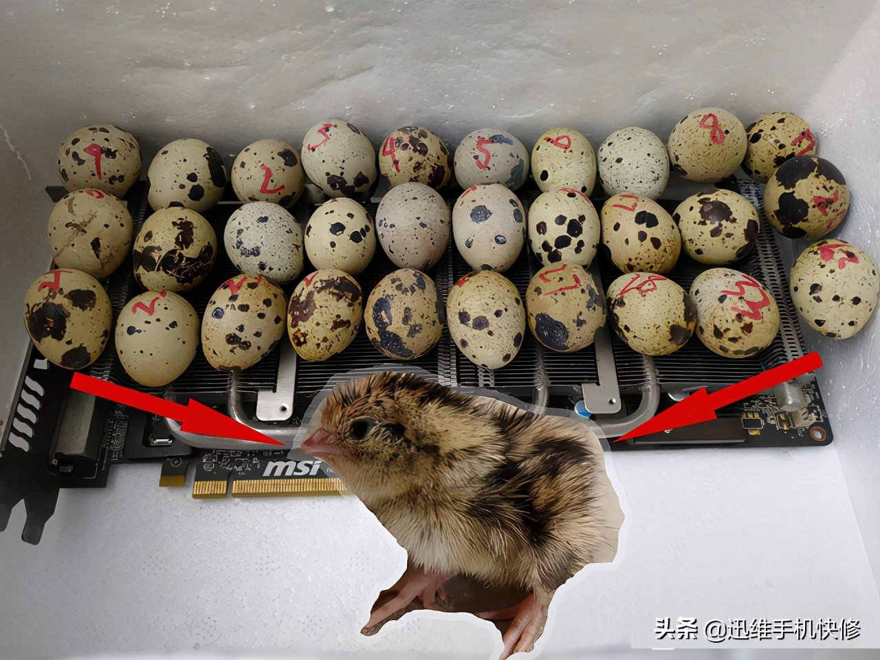 如何解决电脑显卡温度过高问题,显卡温度过高什么表现