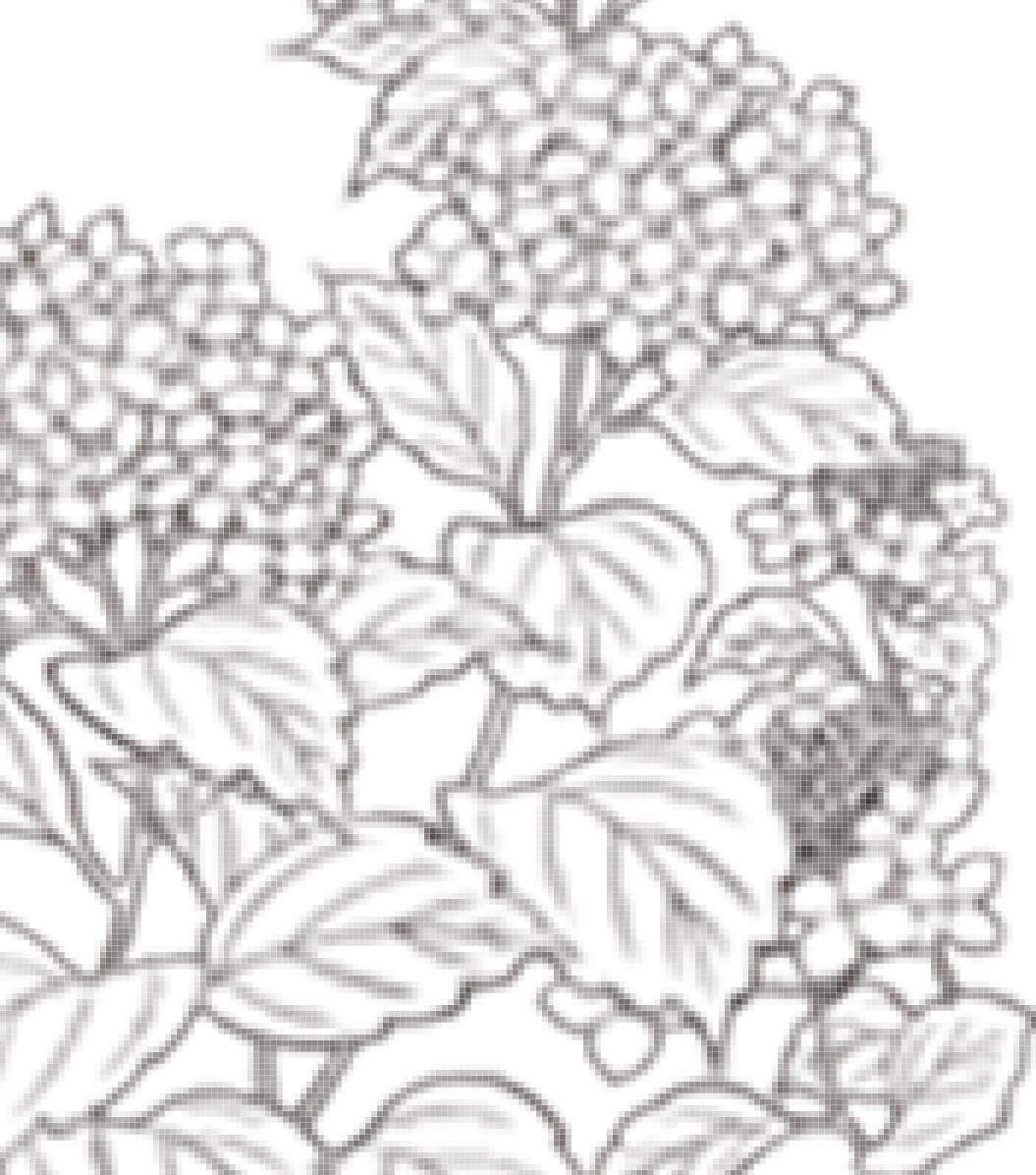 如何快速的学习PhotoshopCC2021，从小白变大神