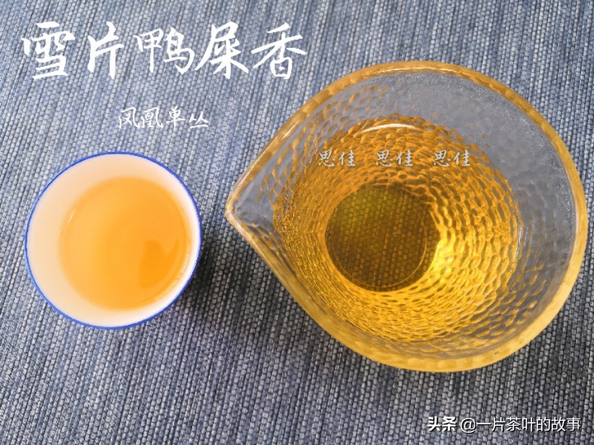 凤凰单枞鸭屎香是名茶吗,凤凰单枞鸭屎香什么样的好