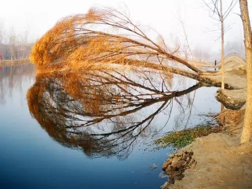 散文题材推荐,散文该写些什么