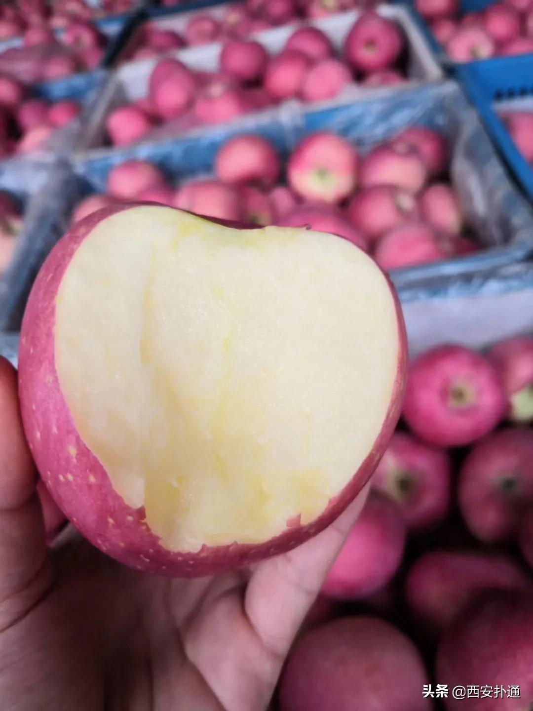 蒲城县好吃的地方推荐晚上,蒲城吃的最多的地方