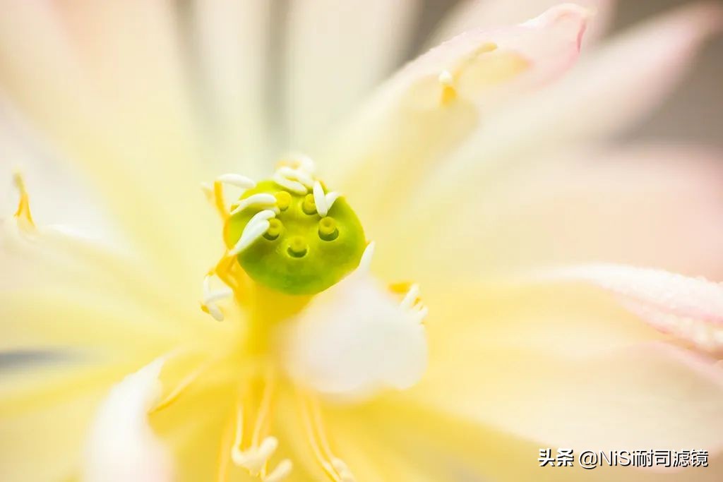 相机微距滑轨,微距镜头滑轨