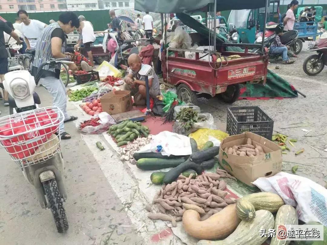 遂平县各大农贸菜市场,图说遂平清晨的菜市场