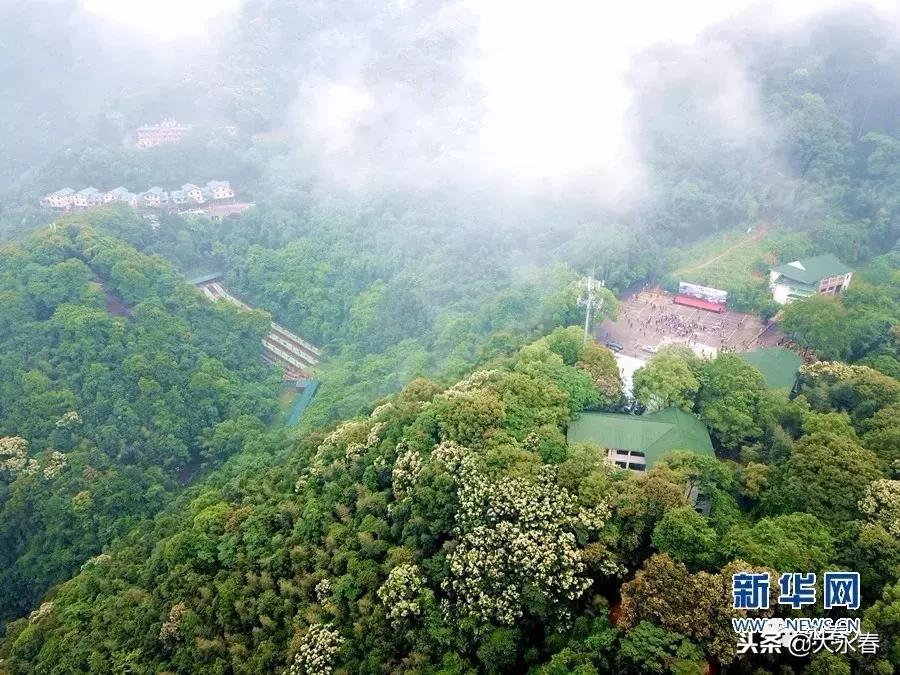 有一种生活叫永春啊,有一种生活叫永春