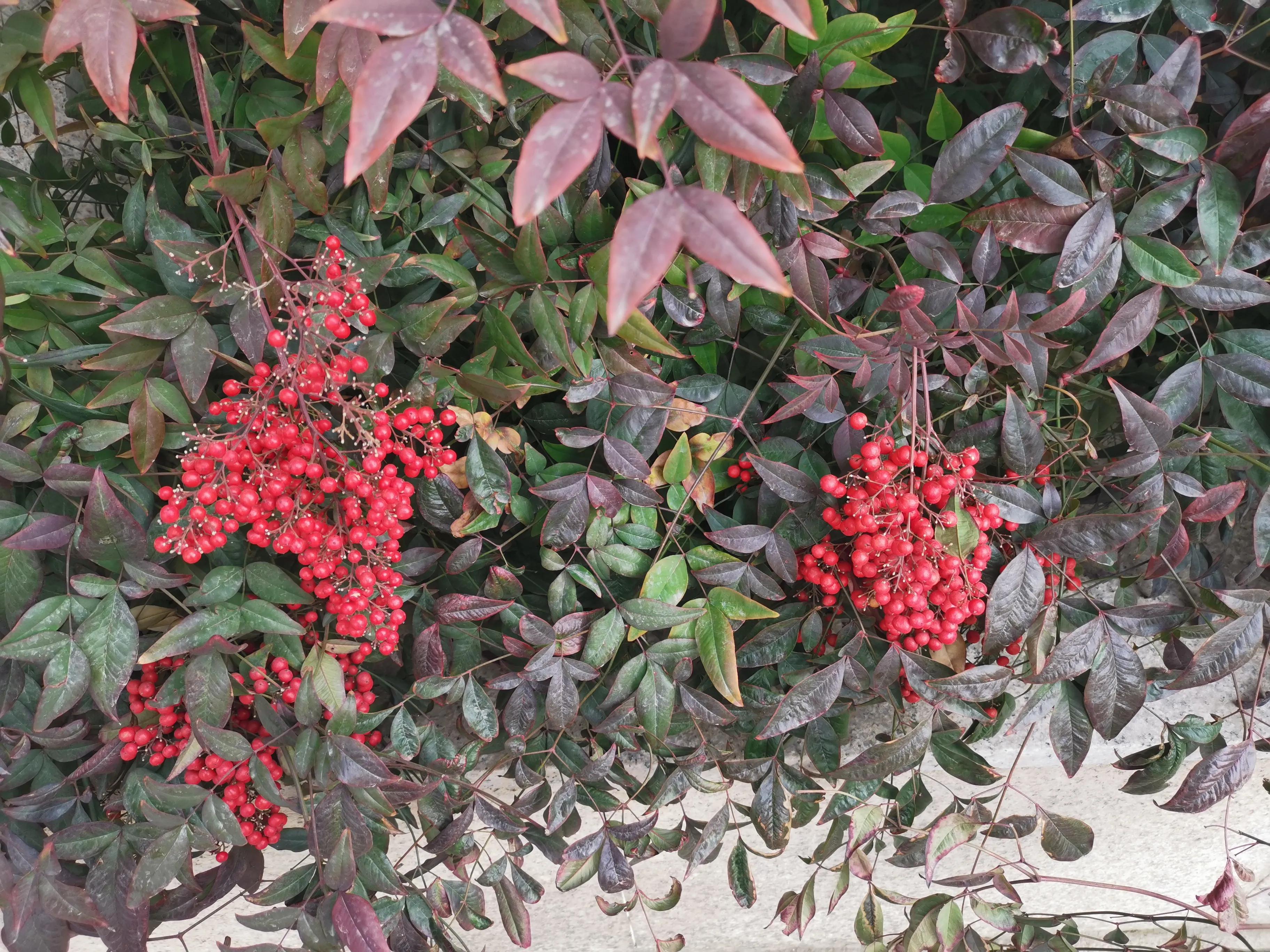 法律服务行业现状及发展趋势,法律服务行业新模式