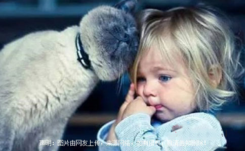 男宝宝起名一个字的名字,能文能武男孩取名字大全