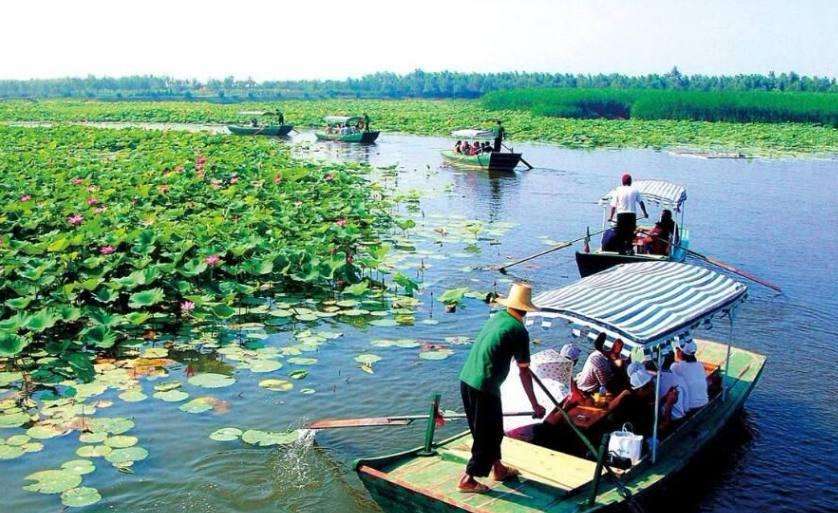 北京去白洋淀旅游攻略,北京到白洋淀的车停了吗