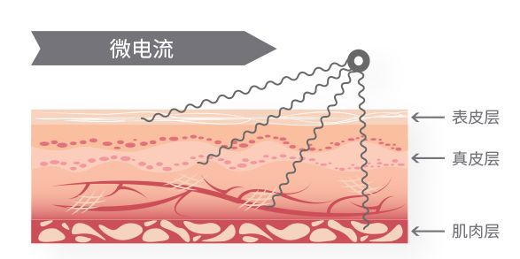 上万元的网红美容黑科技，真的值得买吗？！