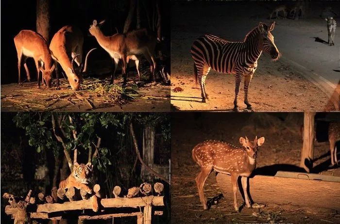 娓呰繄涓涙灄鎺㈤櫓鐩樼偣,娓呰繄鍧氭灉