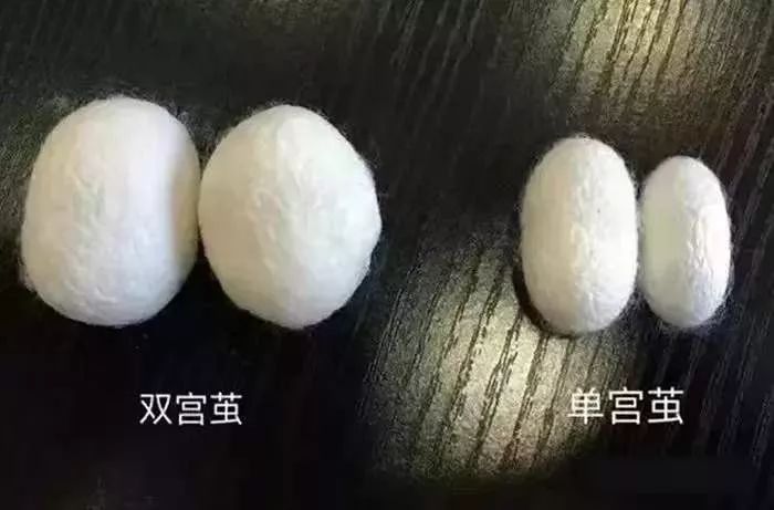 真正的蚕丝被100%桑蚕丝北极绒,推荐一款纯天然蚕丝被