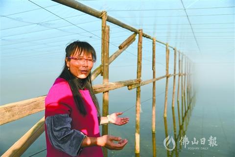 鱼塘养殖利润最大化,鱼塘养殖高利润