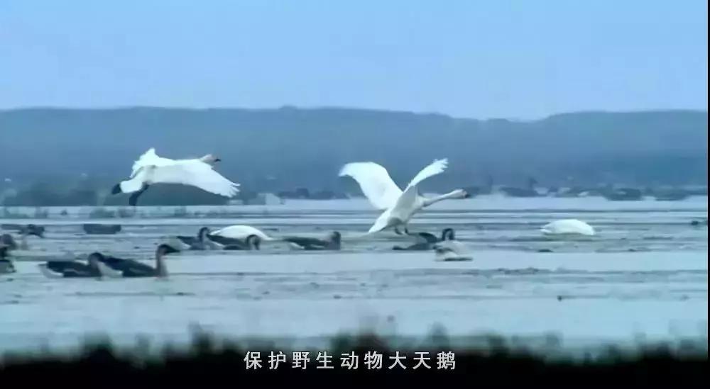 中国十大湖泊最美景点,十大风景最美的湖泊排行榜