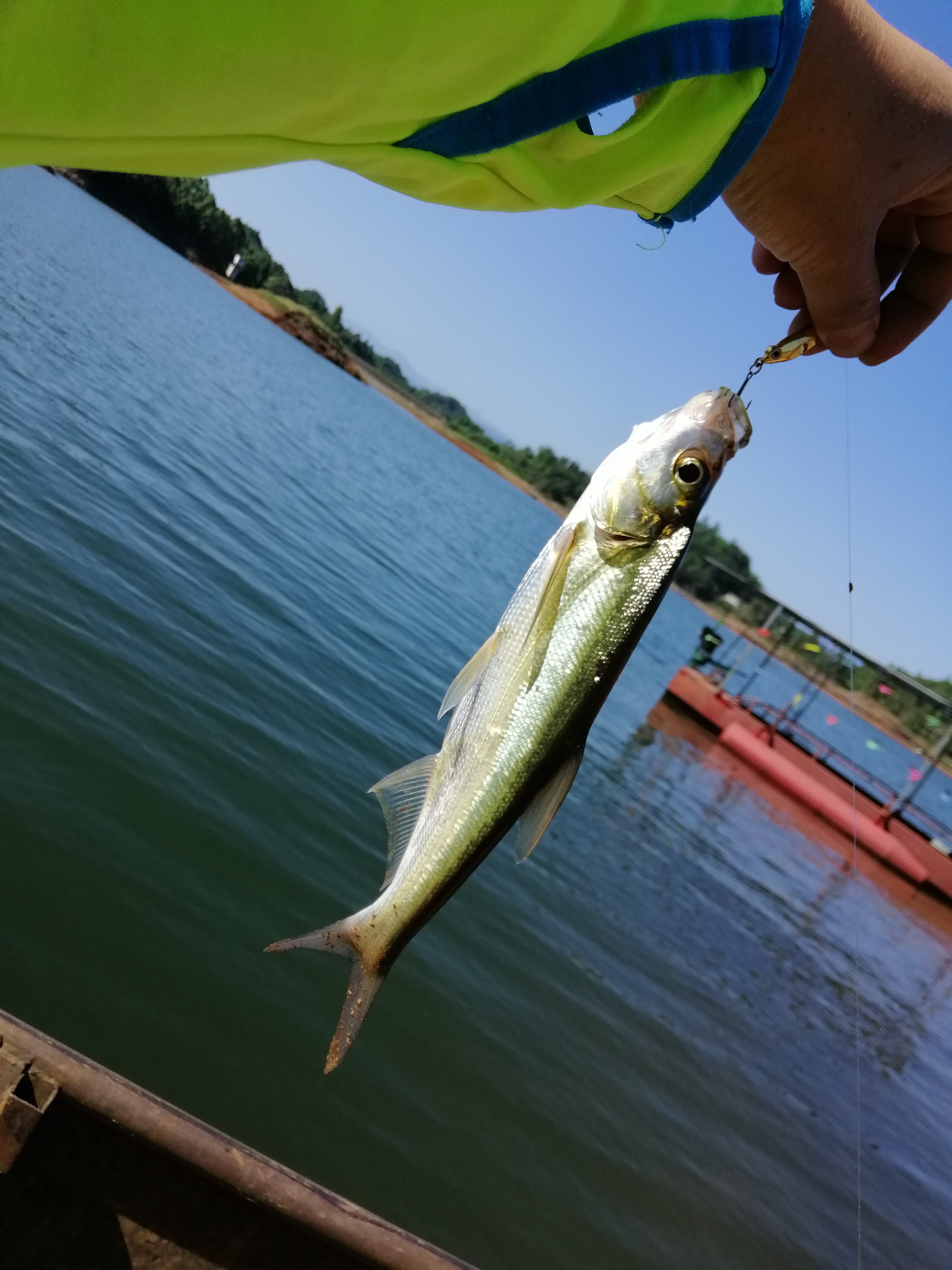 探钓深山水库,总岗山水库钓位