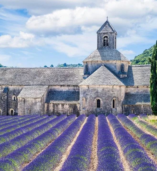 女神节有无与伦比的美丽,女神节浪漫游花海