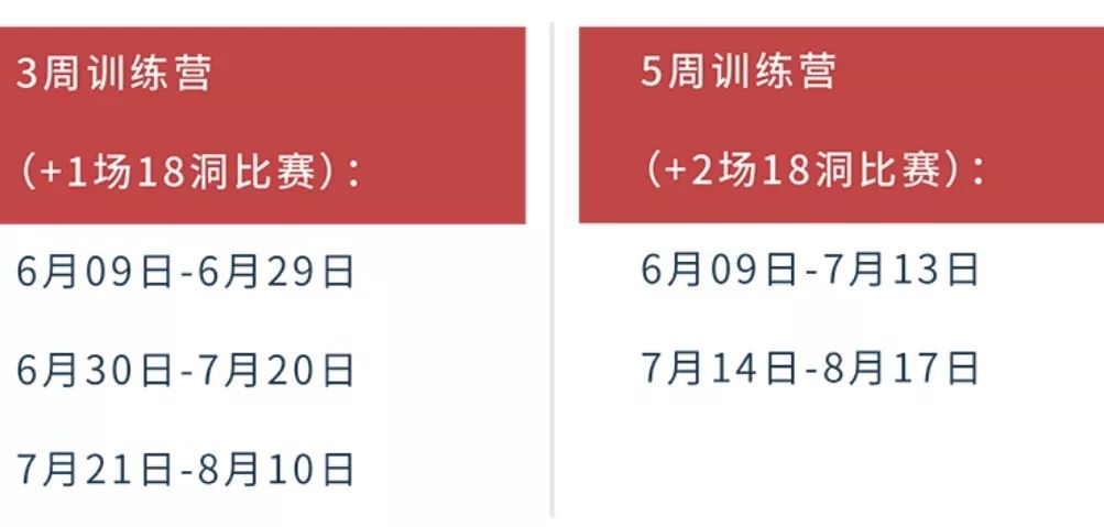 华人之光2019,华人之光视频