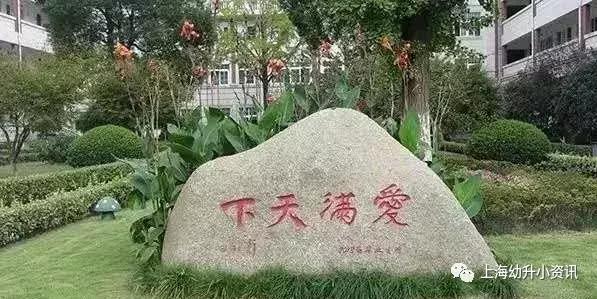 上海非沪籍学生可选的民办小学,上海比较好进的民办小学