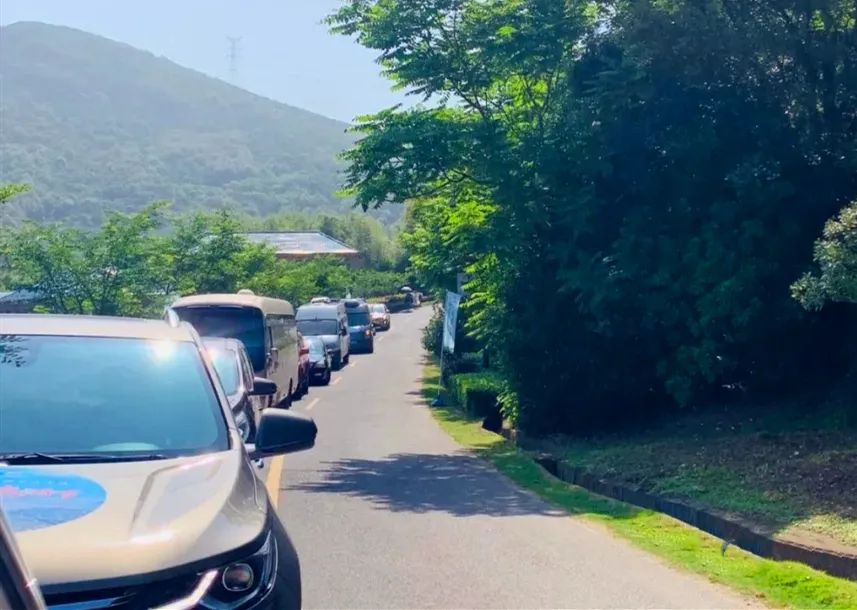 定海印记,印迹定海