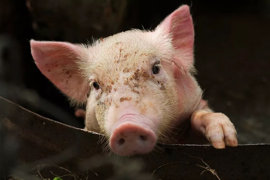 详解URLLC前世今生，你get了吗？