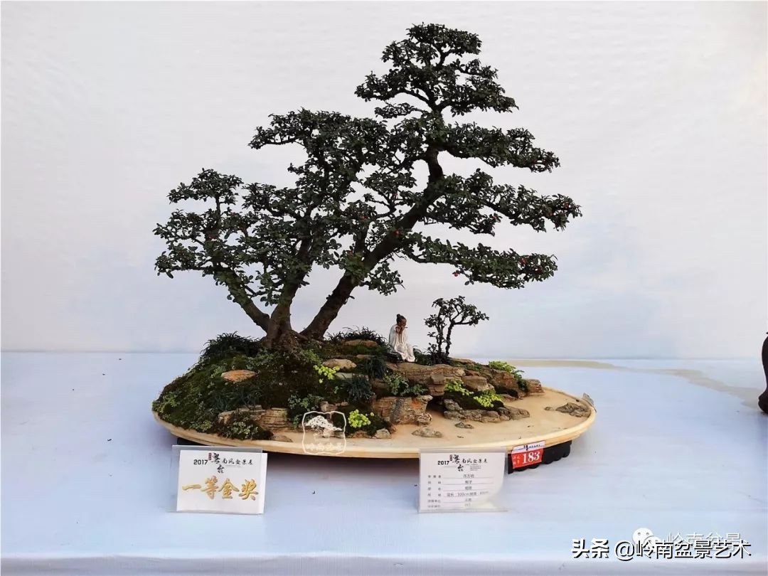 杂木盆景也毫不逊色,杂木盆景值钱吗