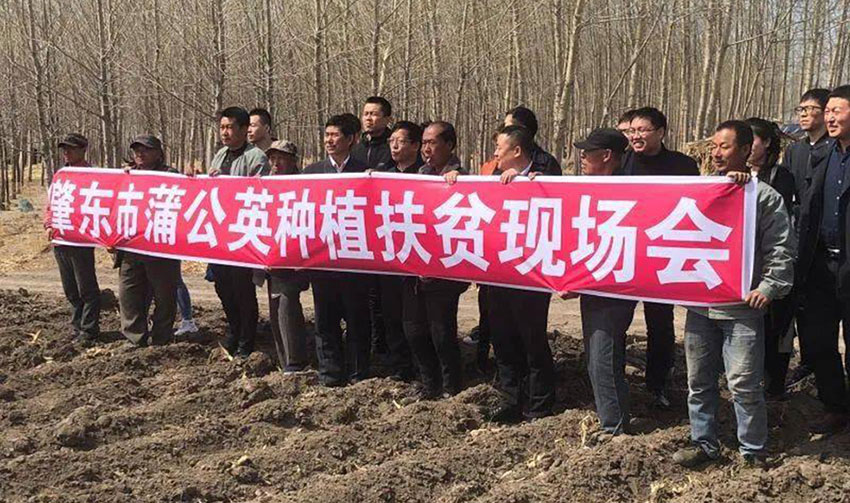 红草止鼾胶囊黑龙江福和制药集团,黑龙江福和制药股份有限公司电话