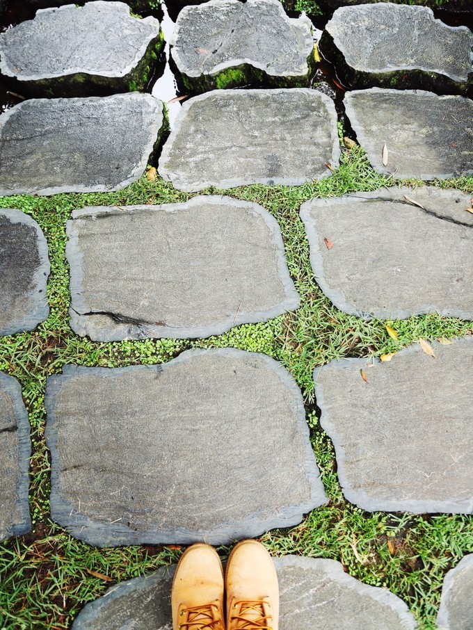 梅州采茶,梅州采茶体验