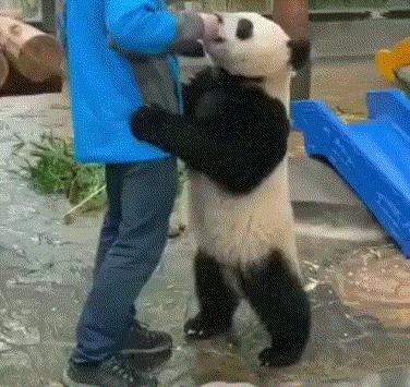 高铁上一位阿姨,高铁40岁老阿姨踢我怎么办