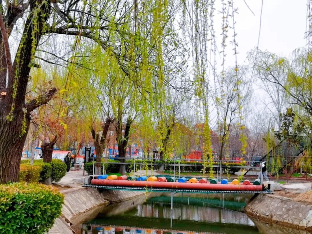 聊城姜堤乐园的门票是多少钱,姜堤乐园玻璃桥