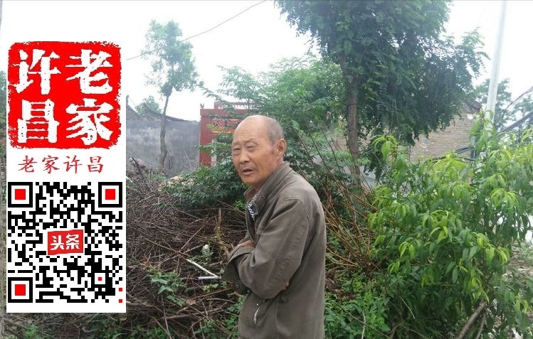 许昌老池的奥妙：井中曾有鱼，土中有龙骨