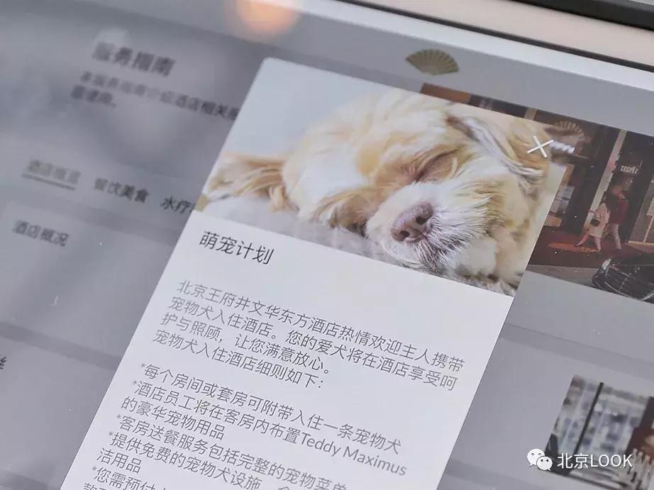 俯瞰故宫北京奢华五星酒店,看故宫全景的酒店