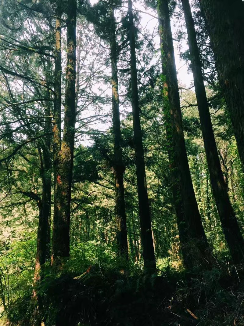 在台湾生活的感觉,在台湾的生活的感受